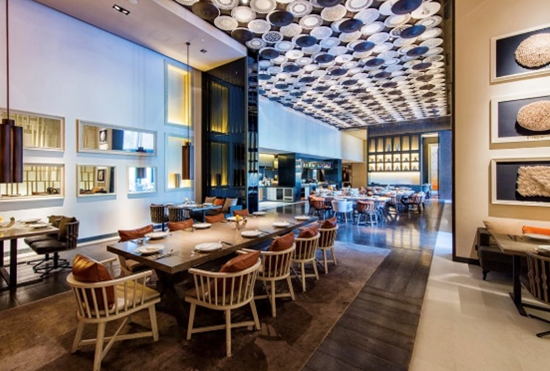 ���Ƶ�����Ҿ�